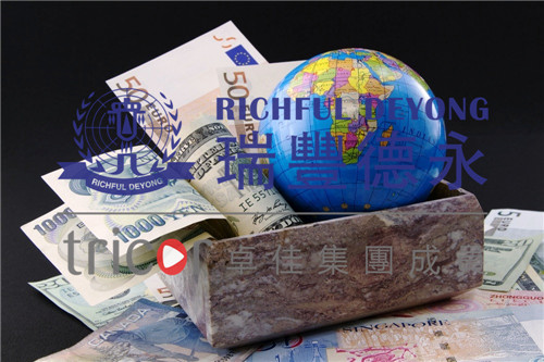 选择美国公司的类型