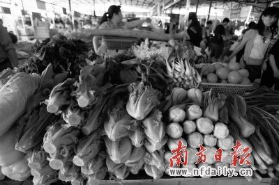 深圳叶菜多数降10%以上 部分降价近四成(图)_