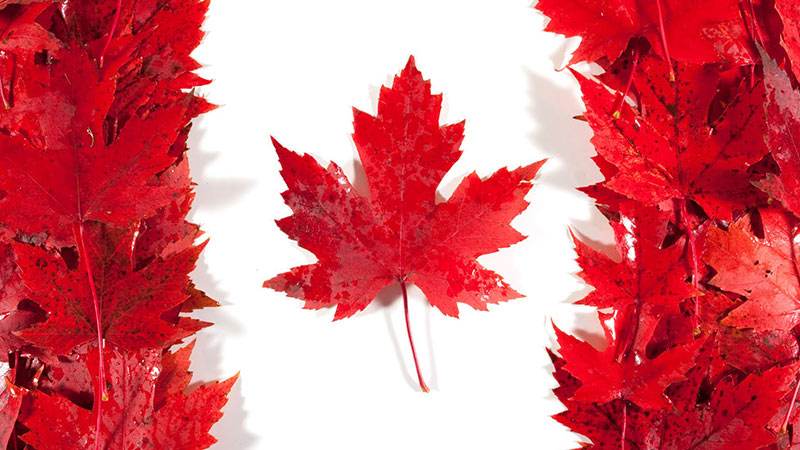 加拿大BC省注册公司的优势