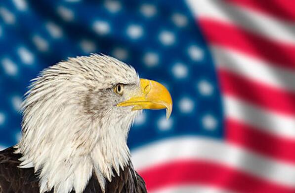 为什么要注册美国公司?