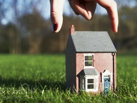 新西兰公司的类型