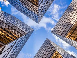 日本公司注册的形式