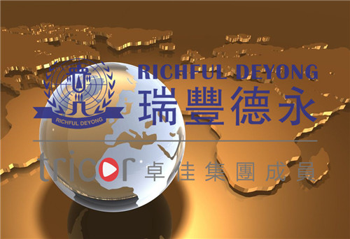 新加坡的业务结构类型