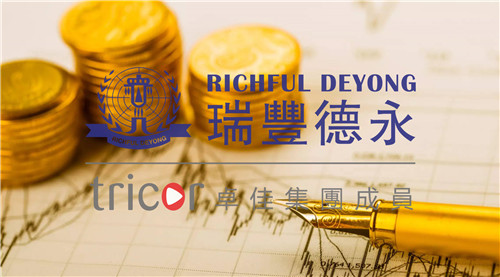 爱尔兰公司的类型